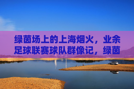 绿茵场上的上海烟火，业余足球联赛球队群像记，绿茵烟火，上海业余球队群像记