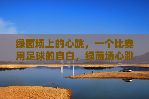 绿茵场上的心跳,一个比赛用足球的自白,绿茵场心跳,足球的自白