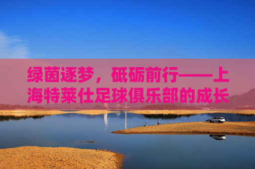 绿茵逐梦,砥砺前行——上海特莱仕足球俱乐部的成长与坚守,绿茵逐梦,砥砺前行——上海特莱仕足球俱乐部的成长与坚守