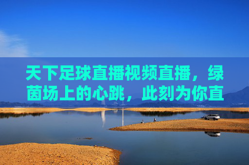 天下足球直播视频直播，绿茵场上的心跳，此刻为你直播，绿茵心跳，天下足球直播