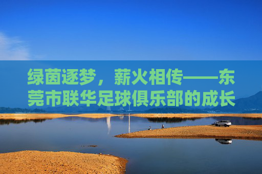 绿茵逐梦，薪火相传——东莞市联华足球俱乐部的成长之路，绿茵逐梦薪火传，联华足球俱乐部成长之路