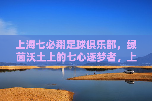 上海七必翔足球俱乐部,绿茵沃土上的七心逐梦者,上海七必翔,绿茵沃土上的七心逐梦者
