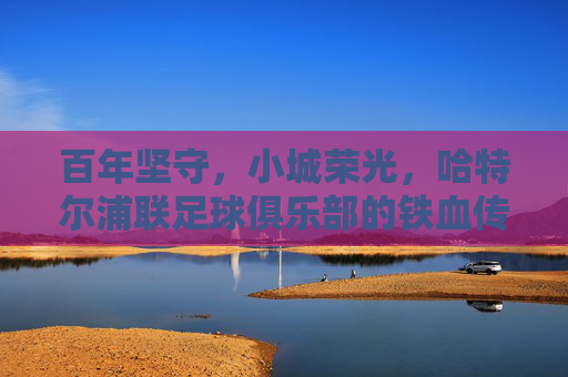 百年坚守,小城荣光,哈特尔浦联足球俱乐部的铁血传承,哈特尔浦联,百年铁血坚守,铸就小城荣光