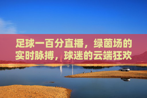 足球一百分直播，绿茵场的实时脉搏，球迷的云端狂欢，绿茵场实时脉动，球迷云端狂欢