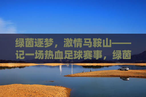 绿茵逐梦,激情马鞍山——记一场热血足球赛事,绿茵逐梦,马鞍山热血足球赛