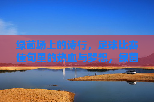 绿茵场上的诗行,足球比赛佳句里的热血与梦想,绿茵诗行,热血与梦想的赛场韵律