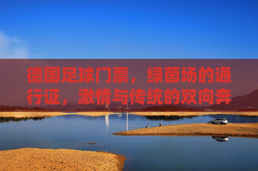 德国足球门票,绿茵场的通行证,激情与传统的双向奔赴,绿茵场通行证,德国足球激情与传统的双向奔赴