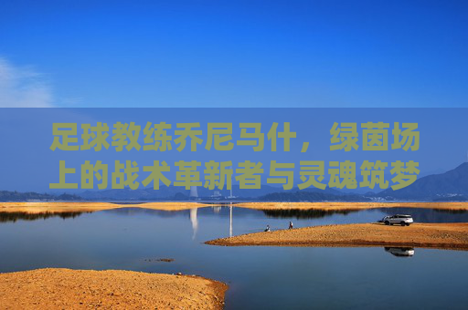 足球教练乔尼马什,绿茵场上的战术革新者与灵魂筑梦师,乔尼马什,绿茵场上的战术革新者与灵魂筑梦师