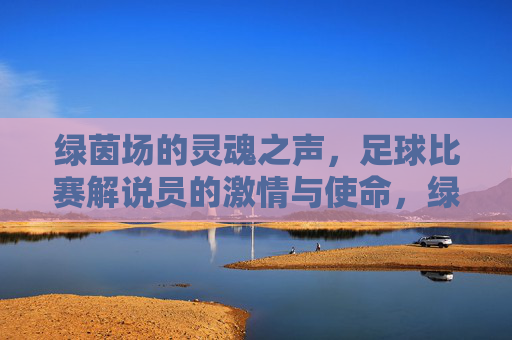 绿茵场的灵魂之声,足球比赛解说员的激情与使命,绿茵场灵魂之声,足球解说员的激情与使命