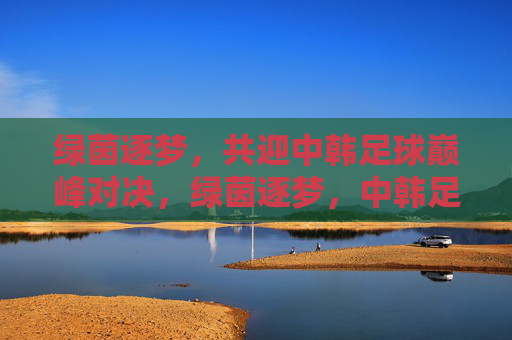 绿茵逐梦,共迎中韩足球巅峰对决,绿茵逐梦,中韩足球巅峰对决