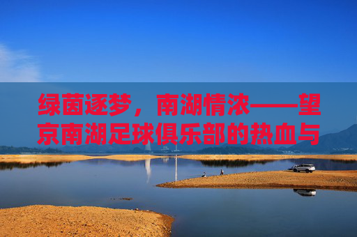 绿茵逐梦,南湖情浓——望京南湖足球俱乐部的热血与坚守,望京南湖,绿茵逐梦,热血南湖情