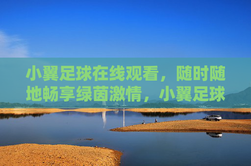 小翼足球在线观看，随时随地畅享绿茵激情，小翼足球在线观看，随时随地畅享绿茵激情