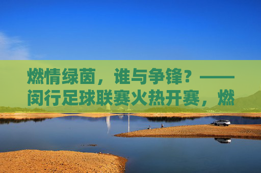 燃情绿茵,谁与争锋?——闵行足球联赛火热开赛,燃情绿茵,谁与争锋,闵行足球联赛火热开赛