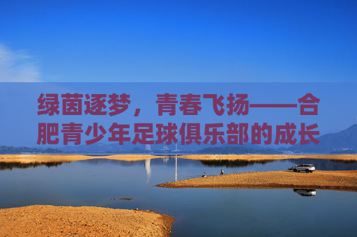 绿茵逐梦，青春飞扬——合肥青少年足球俱乐部的成长与希望，绿茵逐梦，青春飞扬