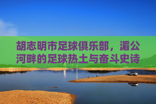 胡志明市足球俱乐部，湄公河畔的足球热土与奋斗史诗，湄公河畔的足球热土与奋斗史诗