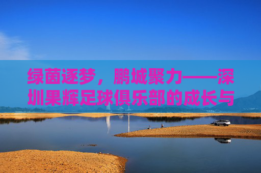 绿茵逐梦,鹏城聚力——深圳果辉足球俱乐部的成长与展望