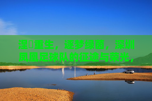 涅槃重生，逐梦绿茵，深圳凤凰足球队的征途与荣光，涅槃重生逐梦绿茵，深圳凤凰足球队的征途与荣光