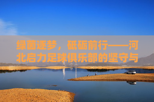 绿茵逐梦,砥砺前行——河北启力足球俱乐部的坚守与传承,绿茵逐梦,砥砺前行——河北启力足球俱乐部的坚守与传承