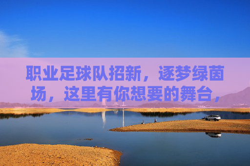 职业足球队招新，逐梦绿茵场，这里有你想要的舞台，职业足球队招新，逐梦绿茵场，舞台为你