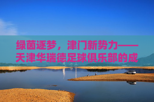 绿茵逐梦，津门新势力——天津华瑞德足球俱乐部的成长与坚守，绿茵逐梦，津门新势力——天津华瑞德足球俱乐部的成长与坚守