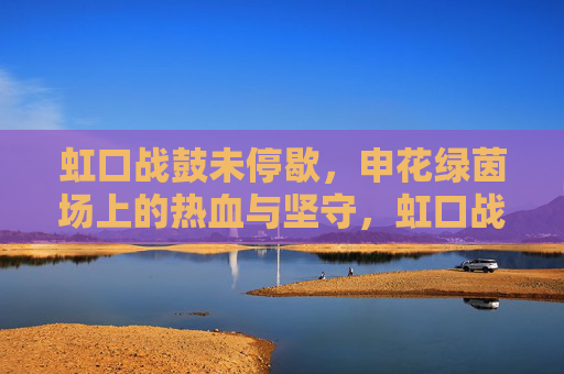 虹口战鼓未停歇，申花绿茵场上的热血与坚守，虹口战鼓未停歇，申花绿茵热血坚守
