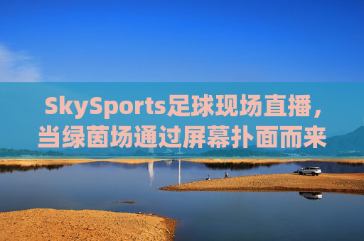 SkySports足球现场直播，当绿茵场通过屏幕扑面而来，SkySports足球直播，绿茵场扑面而来