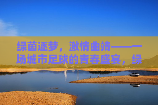 绿茵逐梦,激情曲靖——一场城市足球的青春盛宴,绿茵逐梦,激情曲靖,城市足球的青春盛宴