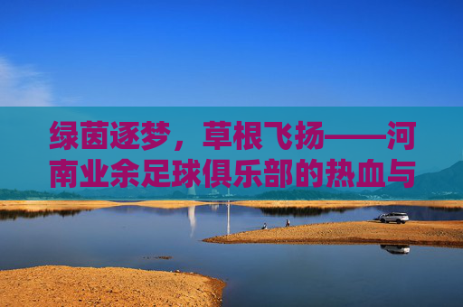 绿茵逐梦，草根飞扬——河南业余足球俱乐部的热血与坚守，河南草根足球俱乐部，绿茵逐梦的热血与坚守