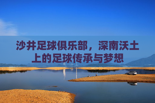 沙井足球俱乐部,深南沃土上的足球传承与梦想