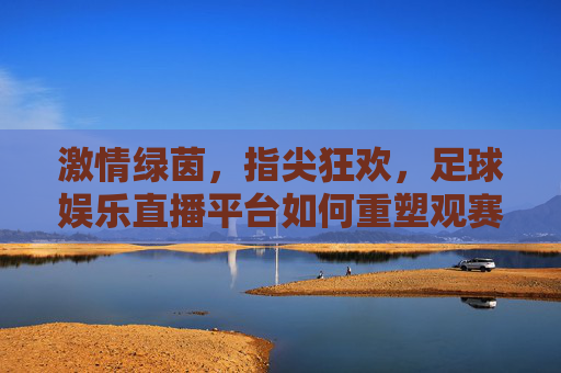 激情绿茵,指尖狂欢,足球娱乐直播平台如何重塑观赛体验?