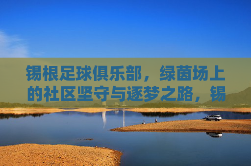 锡根足球俱乐部，绿茵场上的社区坚守与逐梦之路，锡根足球俱乐部，绿茵场上的社区坚守与逐梦之路