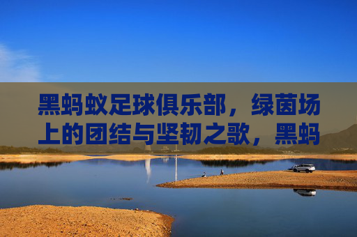 黑蚂蚁足球俱乐部,绿茵场上的团结与坚韧之歌,黑蚂蚁,绿茵场上的团结与坚韧之歌