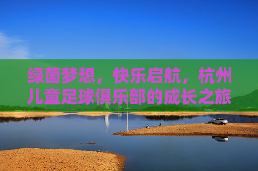 绿茵梦想，快乐启航，杭州儿童足球俱乐部的成长之旅，杭州儿童足球俱乐部，绿茵梦想的快乐成长之旅