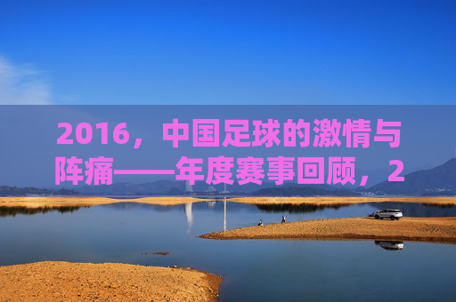 2016，中国足球的激情与阵痛——年度赛事回顾，2016中国足球，激情与阵痛的年度回顾