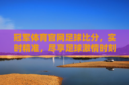 冠军体育官网足球比分，实时精准，尽享足球激情时刻，冠军体育官网足球比分，实时精准，尽享足球激情时刻