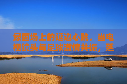 绿茵场上的延边心跳,当电视镜头与足球激情共振,延边心跳,电视镜头与绿茵激情共振