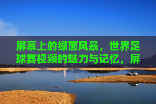 屏幕上的绿茵风暴,世界足球赛视频的魅力与记忆,屏幕上的绿茵风暴,世界足球赛视频的魅力与记忆