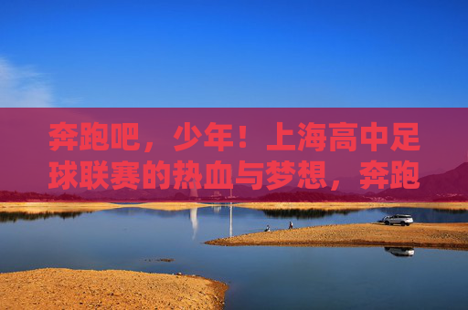 奔跑吧，少年！上海高中足球联赛的热血与梦想，奔跑吧，少年！上海高中足球联赛的热血逐梦