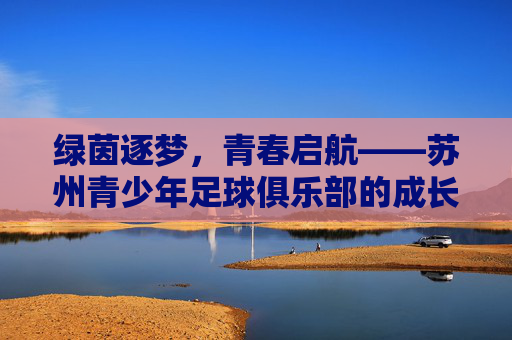 绿茵逐梦，青春启航——苏州青少年足球俱乐部的成长之路，绿茵逐梦，青春成长——苏州青少年足球俱乐部之路