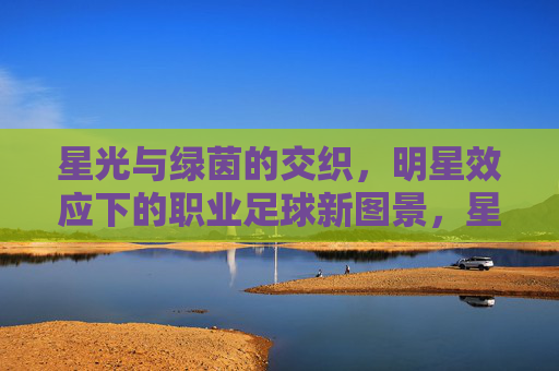 星光与绿茵的交织,明星效应下的职业足球新图景,星光绿茵交织,明星效应绘就职业足球新图景