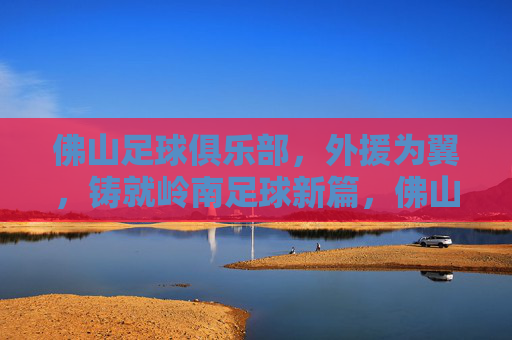 佛山足球俱乐部,外援为翼,铸就岭南足球新篇,佛山外援为翼,铸就岭南足球新篇