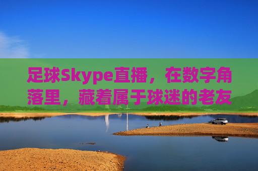 足球Skype直播,在数字角落里,藏着属于球迷的老友记,数字角落的足球老友记,Skype直播里的球迷时光