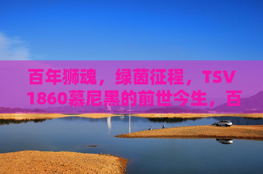 百年狮魂,绿茵征程,TSV 1860慕尼黑的前世今生,百年狮魂,绿茵征程,TSV 1860慕尼黑的前世今生