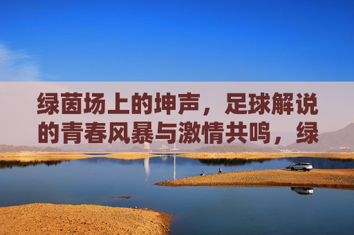 绿茵场上的坤声，足球解说的青春风暴与激情共鸣，绿茵青春风暴，足球解说的激情共鸣