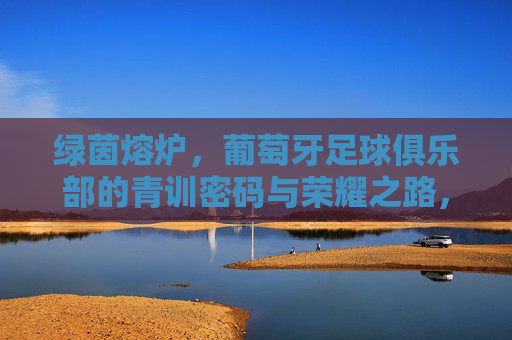 绿茵熔炉,葡萄牙足球俱乐部的青训密码与荣耀之路,绿茵熔炉,葡萄牙青训密码与荣耀之路