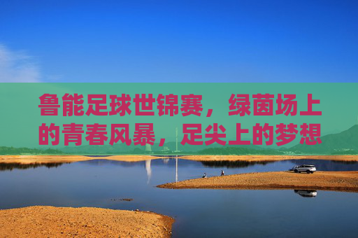 鲁能足球世锦赛,绿茵场上的青春风暴,足尖上的梦想传承,鲁能足球世锦赛,绿茵青春风暴,足尖梦想传承