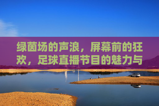 绿茵场的声浪,屏幕前的狂欢,足球直播节目的魅力与陪伴,足球直播,绿茵声浪与屏幕狂欢的魅力陪伴