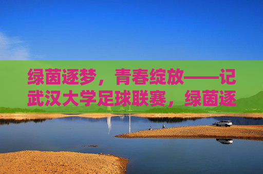 绿茵逐梦，青春绽放——记武汉大学足球联赛，绿茵逐梦，青春绽放——武汉大学足球联赛