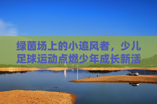 绿茵场上的小追风者，少儿足球运动点燃少年成长新活力，绿茵小追风，足球点燃少年成长新活力