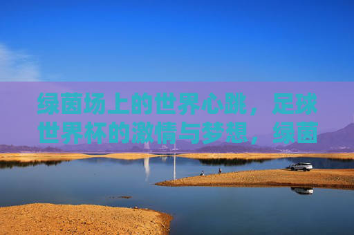 绿茵场上的世界心跳,足球世界杯的激情与梦想,绿茵心跳,世界杯的激情与梦想